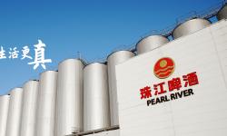 Featured image of post 珠江啤酒